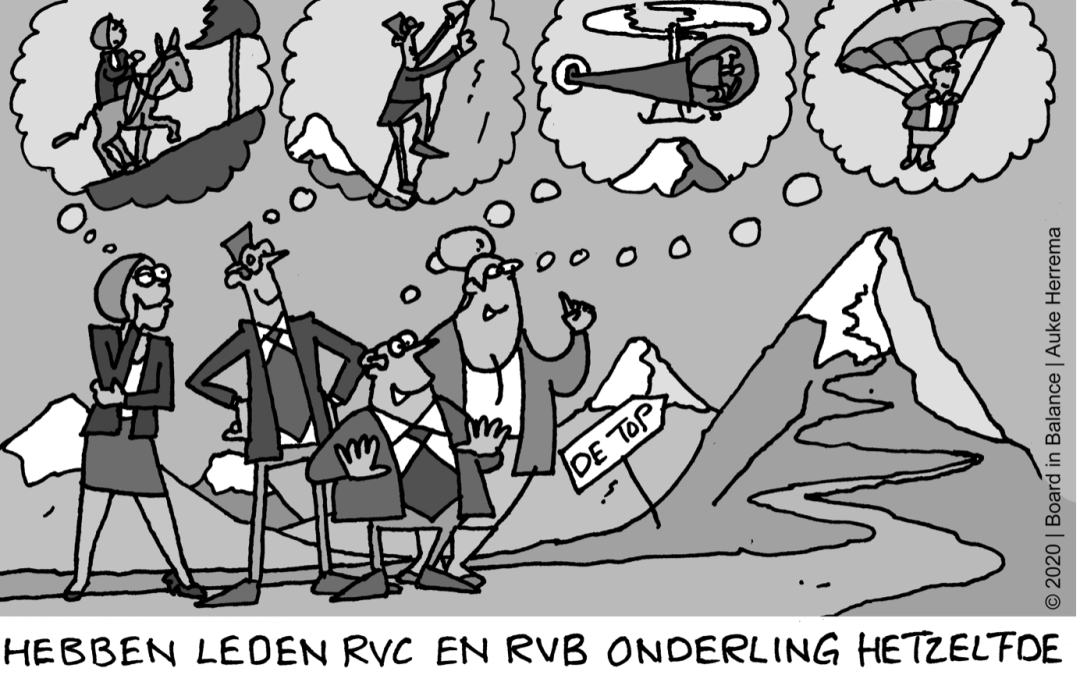 De RvC en de Organisatiestrategie